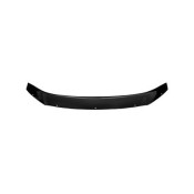 Deflector capota pentru VOLKSWAGEN B-6 (2005-2010) REIN REINHD787wl