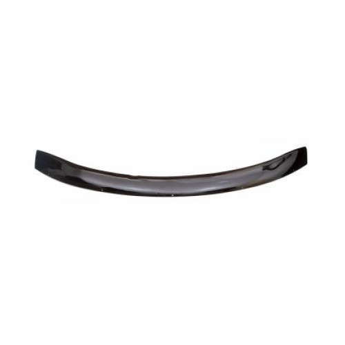 Deflector capota pentru VOLKSWAGEN B-5 (1997-2001) REIN REINHD785wl